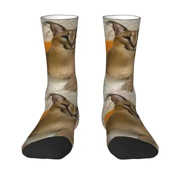 Забавни чорапи меми с хубав принтом Floppa Котка за жени и мъже, Еластични Чорапи Caracal Crew Socks и през лятото, есента и Зимата