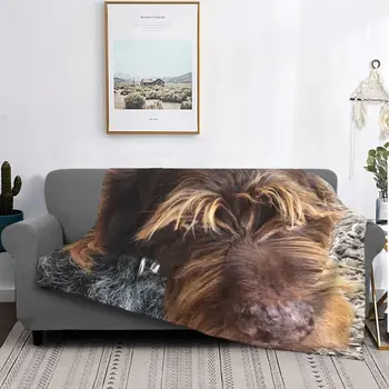 Немска жесткошерстное одеяло за кучета-пойнтеров, постилка за легло, юрган от аниме Kawai, разтегателен диван, покривки